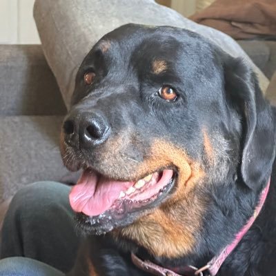 Medical Business Manager 🩺 Wife, Mother, Loyal Friend to a Loyal Few ❤️ Animal Lover 🐾 GenX and don’t really care about your feelings and never offended!