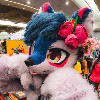 fearozzles's profile picture. 🇮🇪 in 🇰🇷 | 🏳️‍🌈 | 🏳️‍⚧️ |  Ace Diva ♠️| They/Them | Music Producer 🎹 | Boxer 🥊|  Manager  | Idol Behavior ✨ | @bitbird fam 🕊 | Y2K DOG 💿 |