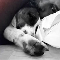 ~ s.π (@zerohourzest) 's Twitter Profile