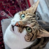 W.H. Clark (@whclarkauthor) 's Twitter Profile