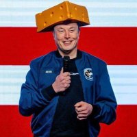 CEO Of Tesla (@elonmusk0908670) 's Twitter Profile