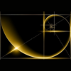 $FIB is a unique token that utilizes the Golden Ratio in its mechanics. 100% of the transaction fees are strategically used to buy and burn $FIB