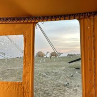 TURKI 🇸🇦 (@izx_700) Twitter profile photo