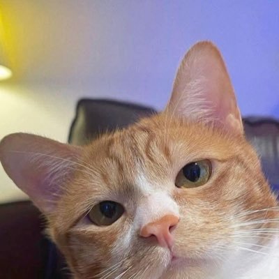 emiliagiordano_'s profile picture. 