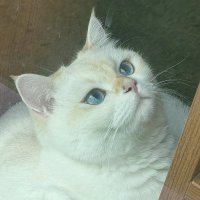 茉瑜 (@yuyuyu2028_) 's Twitter Profile