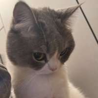 . (@liefackk) 's Twitter Profile Photo . (@liefackk) 's Twitter Profile Photo