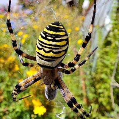 HollyMarc88's profile picture. Hi