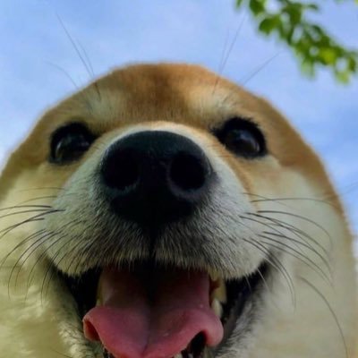 RealCBeck's profile picture. insta: @realcbeck