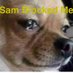Sam Blocked Me (@sean73944843498) Twitter profile photo Sam Blocked Me (@sean73944843498) Twitter profile photo
