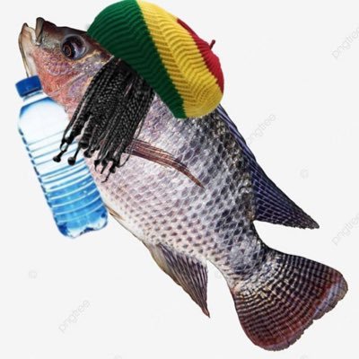 st4rfirez's profile picture. 