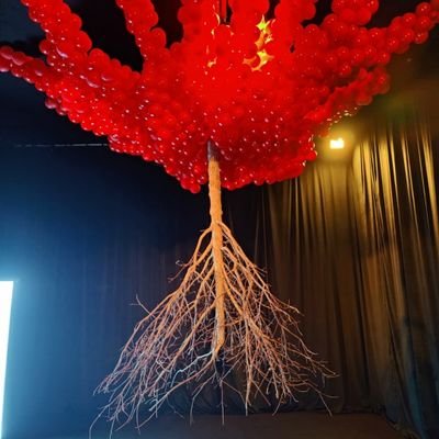 Helene_and_Troy's profile picture. Scientist. Non-arab Muslim  🦅🌴🇺🇸