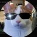 Pedr0sen (@pedr0sen) Twitter profile photo Pedr0sen (@pedr0sen) Twitter profile photo
