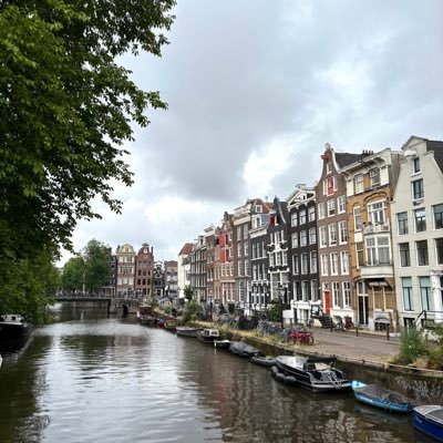 dilettadluca's profile picture. 