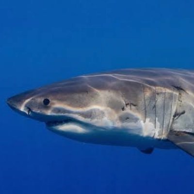 Nikki3958140800's profile picture. 