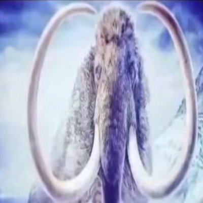 XxMrSigmaxX's profile picture. Smart Guy with Glasses