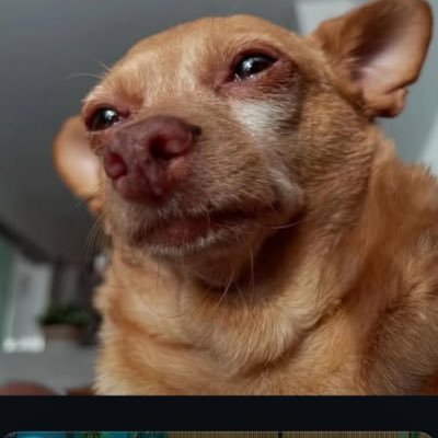 hulanirovu's profile picture. 🤍