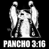 Pancho the cat (@panchothecat123) 's Twitter Profile Photo Pancho the cat (@panchothecat123) 's Twitter Profile Photo