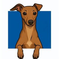 COSMO SUPPORTS (@cosmothebasdog) 's Twitter Profile
