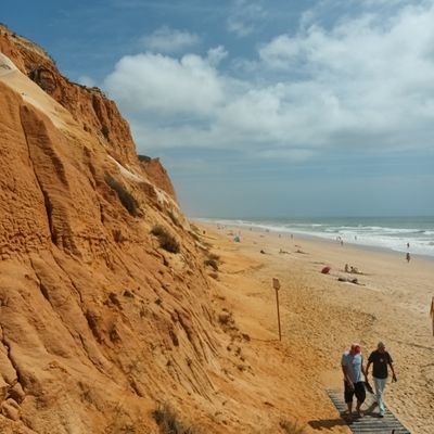 azuleros1's profile picture. 