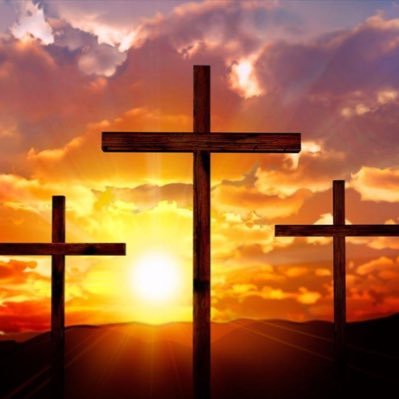 Sophie51403248's profile picture. 