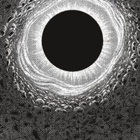 Shook (@void10412476) 's Twitter Profile