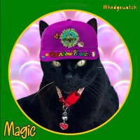 ๐๐Angel Magic ๐โโฌ Panfur (@magicpanfur) 's Twitter Profile
