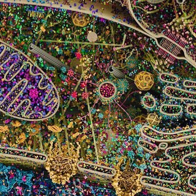 | Dev - no rug pull or grift - living for the aha moments. | - coming out of biotech gene editing/cellular engineering/bioinformatics/chem bio…
