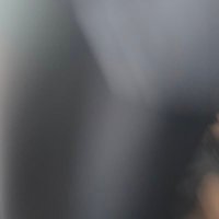 budgiekiller (@finnew4) 's Twitter Profile