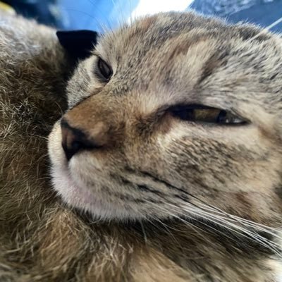 Fable637's profile picture. 