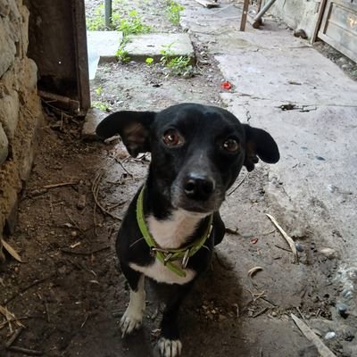 angel5615677457's profile picture.