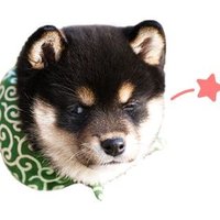 naykilla 🐻❄️ྀིྀི (@naykillachh) 's Twitter Profile