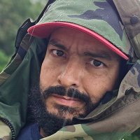 Fern (@focusferncom) 's Twitter Profile