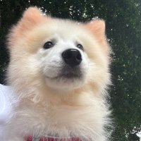 小壹 |成都| (@gmy200623) 's Twitter Profile