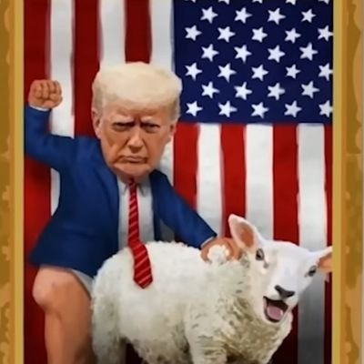 knmwt15000's profile picture. 