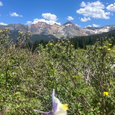 alyssaking1005's profile picture. Momma to 👧🏼 Ems & 👦🏻 Gray, wife of Russ, family photographer @emsamdgrayphotographer, Manager of US operations in IT, peloton rider, occasional cross-fitter