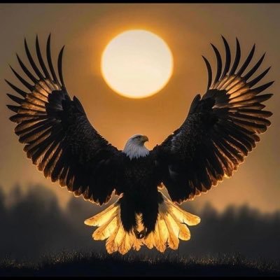 A Crypto Trader/Mentor since 2019 | Marketing Manager| CM |ROJAS ELECTRICALS
