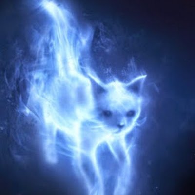 twilightkitty8's profile picture. 