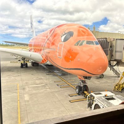 sakurazaka747's profile picture. 