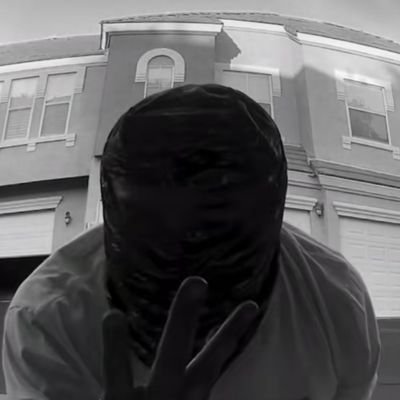 VexiTheFox's profile picture. 