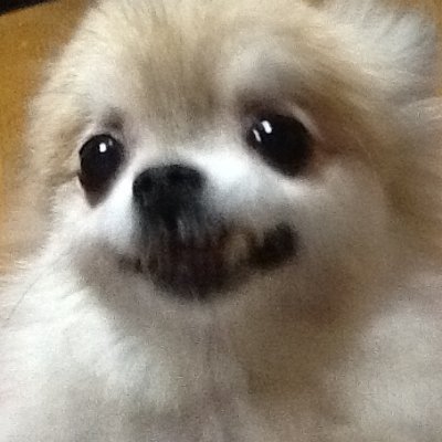 オーチルさんのプロフィール画像