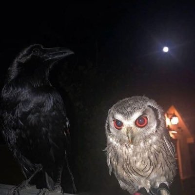 bialettibandit's profile picture. Like an invisible ink notebook but it’s actually available for everyone on the internet to see