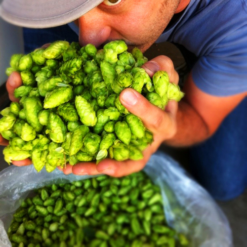 Lover & fighter of all things beer, coffee, bicycles, wine, yoga, travel, music. Co-Founder & President @indeedbrewing Recovering cynical journalist & geologist
