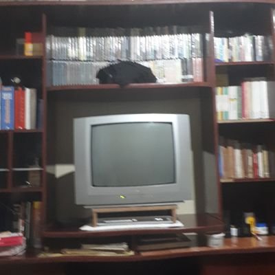 Negro, Comunista, Gaúcho, Colorado e Cinéfilo.
Bacharel em Direito e leitor assíduo de História.