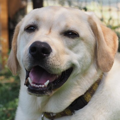 KxfYF7w8DV24963's profile picture. 