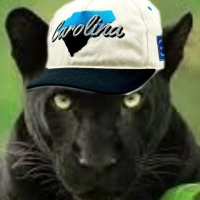 Chucktown native. Panther sufferer. GenX Surfer. USAF Ret '22