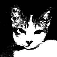 gigi (@gisoulk) 's Twitter Profile