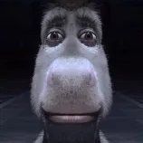 StokBrood_'s profile picture. 