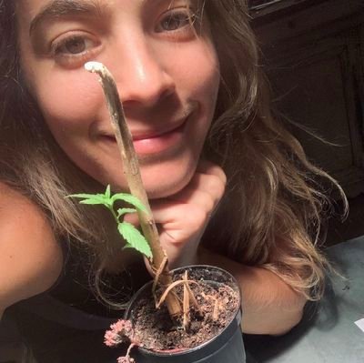 Your plug for medical and recreational cannabis🌱, shrooms for tripping and microdosing, other psychedelics 🚚