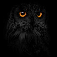 Sore Saja (@soreajaya) 's Twitter Profile Photo Sore Saja (@soreajaya) 's Twitter Profile Photo