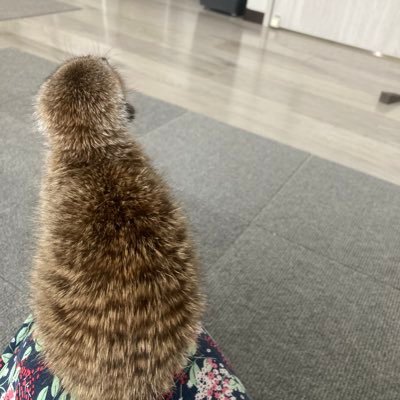 ココトモに親子でよく参加しています。 気になった方には勝手にフォローさせていただいています。 よろしくお願いします。